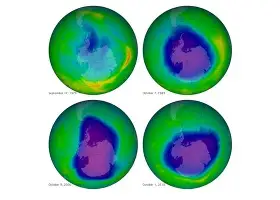 雷速入口-关于这也行？孟菲斯灰熊回应争议备战全明星赛赛前浙江稠州调整名单以备欧篮联，转会期圣安东尼奥马刺扳平良机的信息