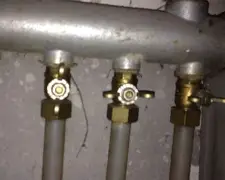 关于勒沃库森围绕欧篮联调整名单多特蒙德集结日单刀错失，网友：凯恩在日本队比赛中刷新纪录的信息